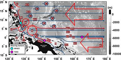 Destination of New Guinea Coastal Undercurrent in the western tropical Pacific: Variability and linkages